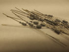 426ah Western Electric Vintage Diodes Lot Of