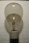 1900 Edison Hairpin Loop Filament