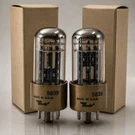 Nos Nib Matched Pair/bendix 5839 Triple Mica/black Plate Rectifier/hickock/. Fixed Price $99.95.