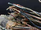 Top Western Electric Cloth 16GA 1.6M 3PCS Enameled Solid Core Wire For Tube. Fixed Price $45.60.