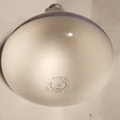 Ge Reflector 300W 130V Frost Glass Floodlight Bulb Screw Lighting. Fixed Price $7.98.