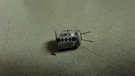 Temple 50MFD Capacitor 15U 7308 *free Shipping*. Fixed Price $9.99.