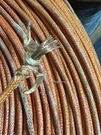 10M/33FT Western Electric 16AWG Wax Paper Cotton Wire Vintage Cable Speaker. Fixed Price $79.00.