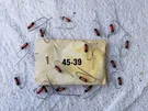 One New Heathkit 4.65 Uh Rf Choke #45-39 For SB-110/ SB-303/ IG-5257. Fixed Price $10.00.