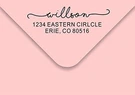 Return Address Stamp, Self Inking Line Christmas Gift Trodat 4913. Fixed Price $12.96.